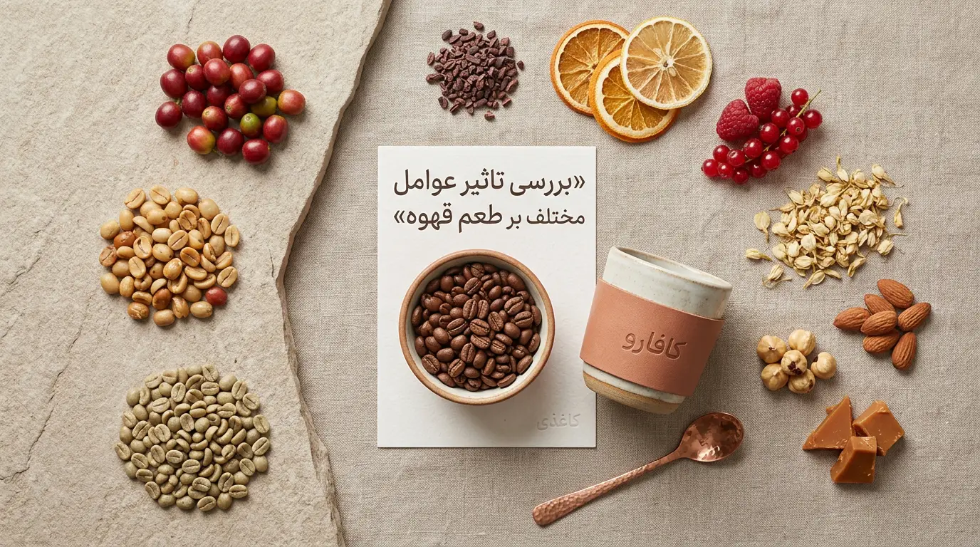 طعم قهوه چگونه شکل می‌گیرد؟